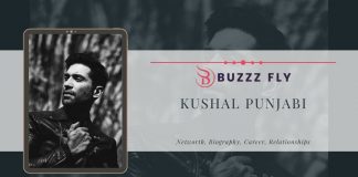 Kushal Punjabi Net Worth