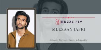 Meezaan Jafri Net Worth
