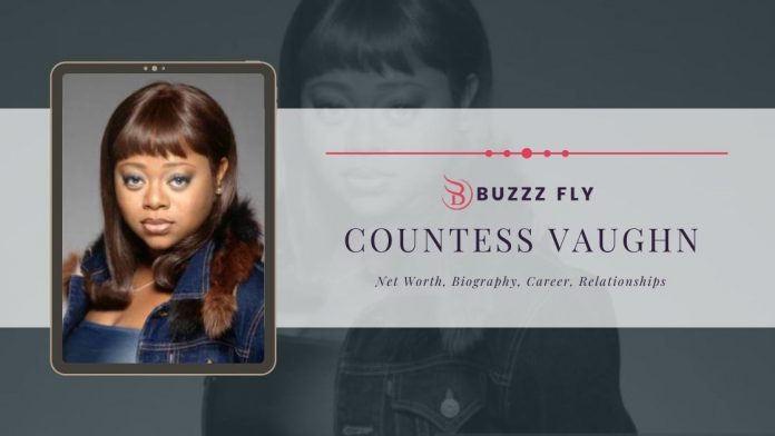Countess Vaughn Net Worth