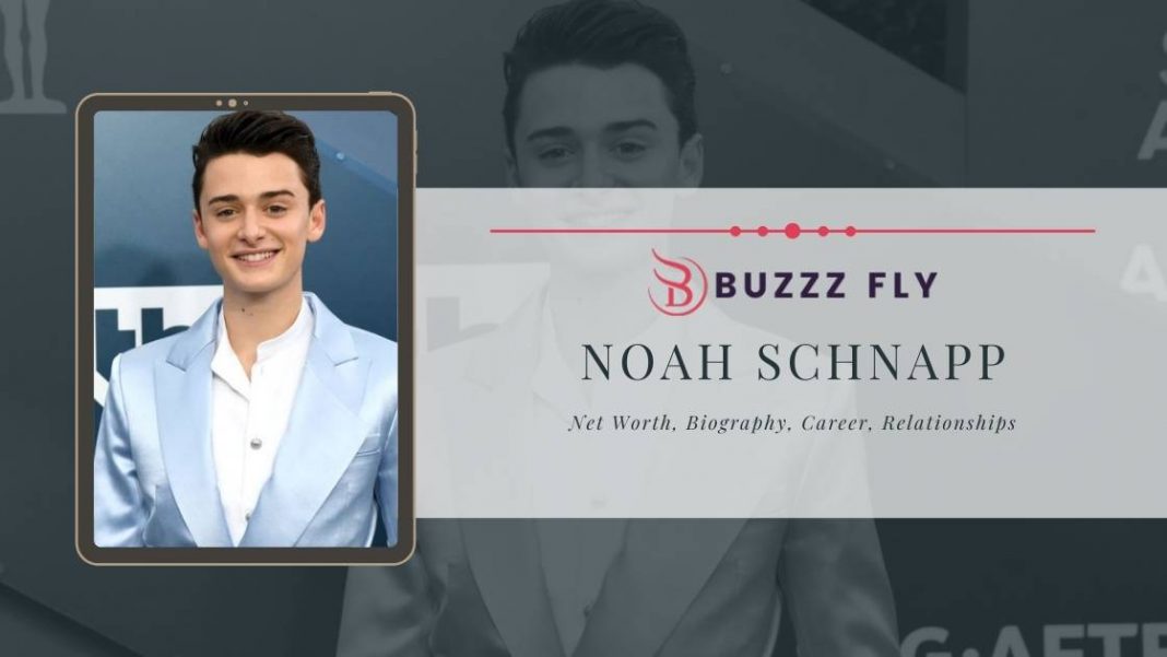 Noah Schnapp net worth in 2024, age, height, career, and salary - Local