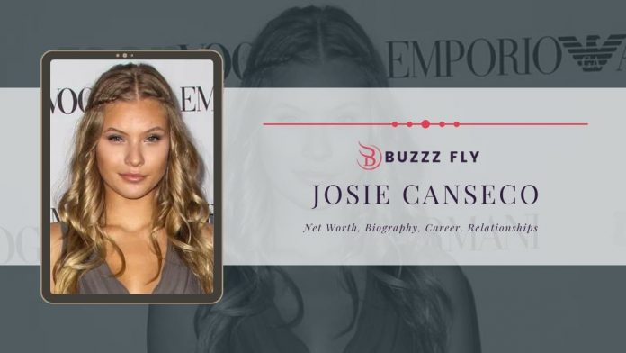 josie canseco net worth