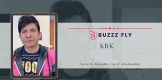 KRK Net Worth