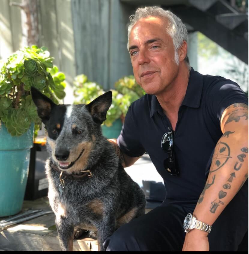 Titus Welliver Net Worth in 2024, Bio, Age, Height, Kids Local 8 Now