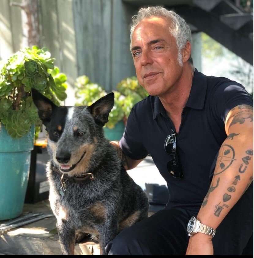 Titus Welliver