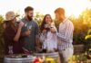 5 Important Things to Know when Taking Willamette wine tours