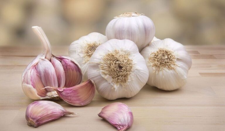 What’s The Difference Between White Garlic And Purple Garlic?
