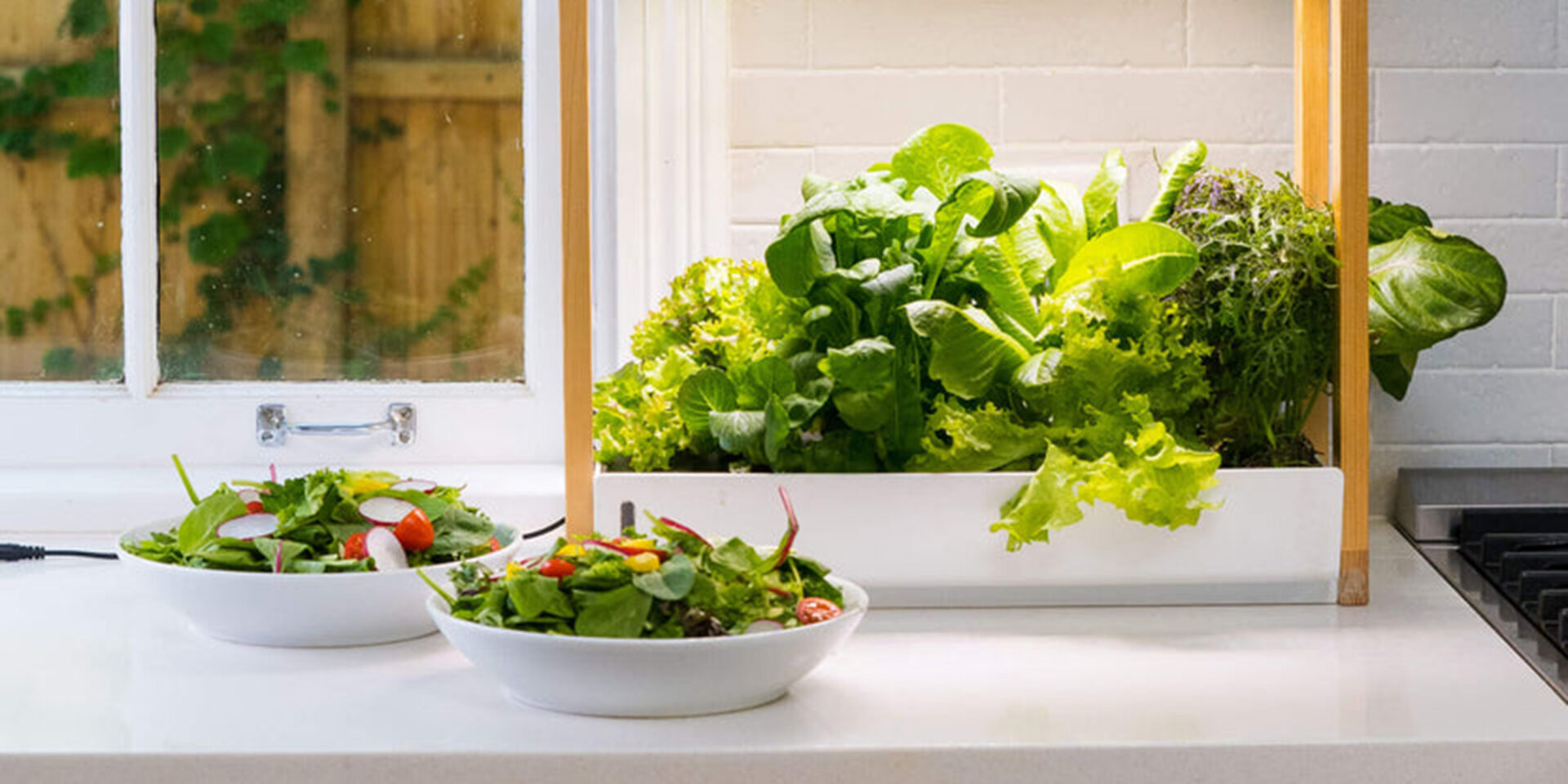 Indoor Gardening Systems Bringing Nature into Your Home Local 8 Now