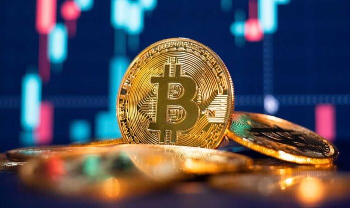 Mastering the Bitcoin to Dollar Chart for Maximum Profit
