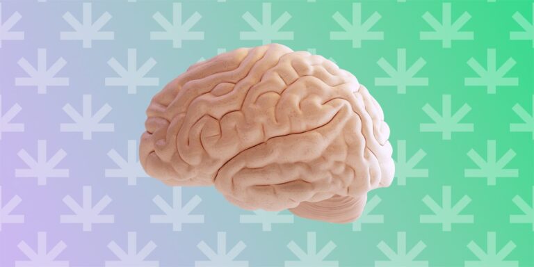Is CBD Addictive? Understanding Its Impact on the Brain and Body