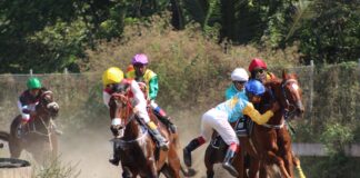 7 Unforgettable Breeder's Cup Moments in History