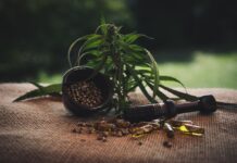 How to Find the Best CBD