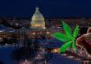 Cannabis Tourism in Washington DC