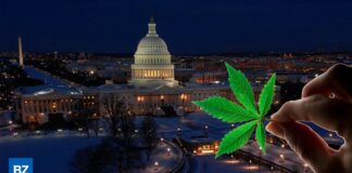 Cannabis Tourism in Washington DC